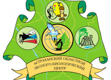 Досуговые программы для ребят из Донецкой и Луганской народных республик
