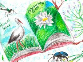 ВНИМАНИЕ! Объявлен прием работ на региональный этап Всероссийского конкурса экологических рисунков